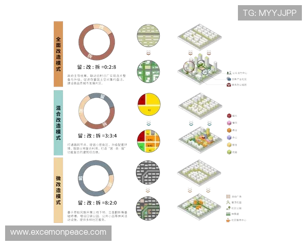 从里尔俱乐部崛起看法国足球青训体系的创新与未来发展路径 从里尔俱乐部崛起看法国足球青训体系的创新与未来发展路径