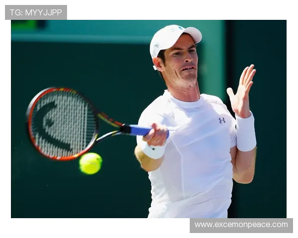 新一轮网球大师赛即将开幕 大牌球员争夺年终总决赛资格