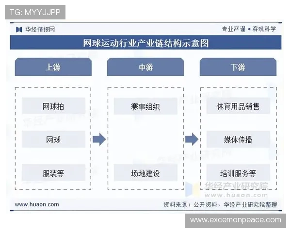 围绕网坛焦点赛事深度解析今年群雄争霸格局与最新动态发展趋势新