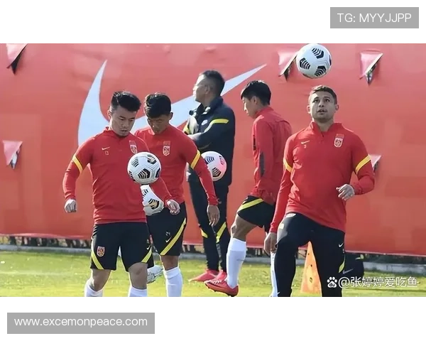 国足备战世预赛关键战教练组调整阵容冲击出线希望再燃球迷期待升温