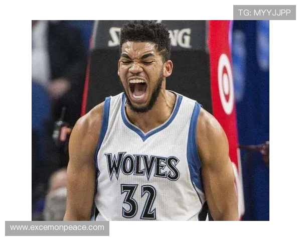 重建中的明日之星：聚焦明尼苏达森林狼队的未来潜力与挑战